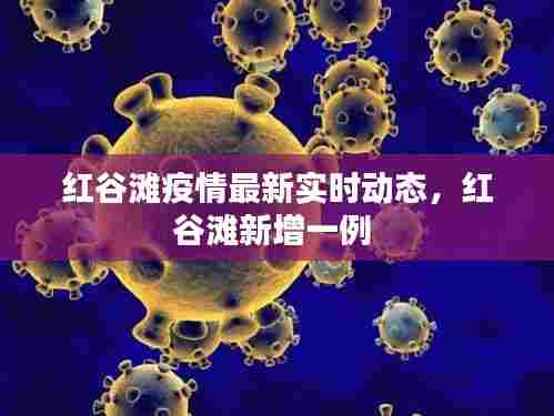 红谷滩疫情最新实时动态,红谷滩新增一例