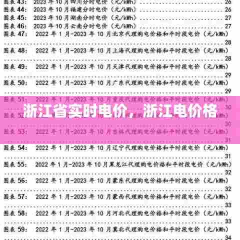 浙江省实时电价,浙江电价格