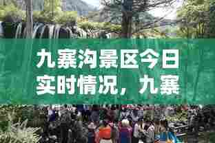 九寨沟景区今日实时情况,九寨沟今天情况