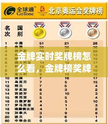 金牌实时奖牌榜怎么看,金牌榜奖牌明细