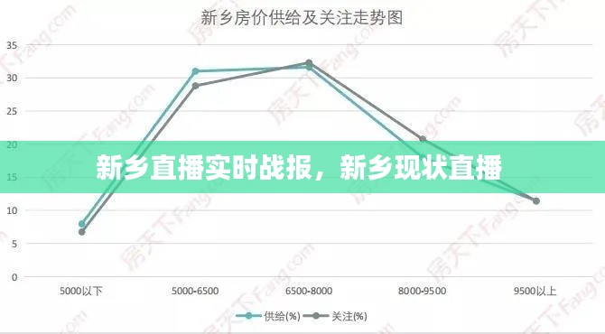 新乡直播实时战报，新乡现状直播 