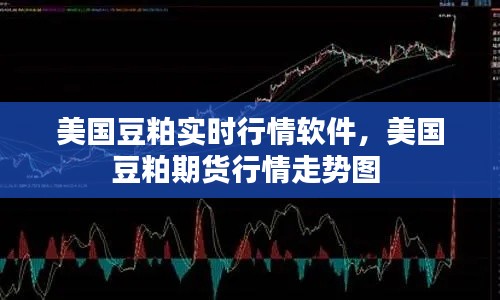 美国豆粕实时行情软件,美国豆粕期货行情走势图