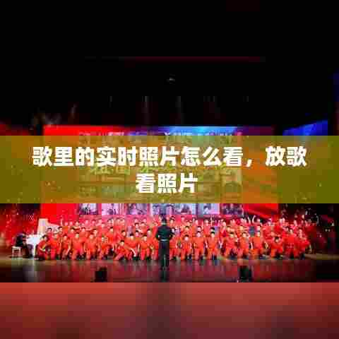 歌里的实时照片怎么看,放歌看照片