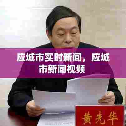 应城市实时新闻,应城市新闻视频