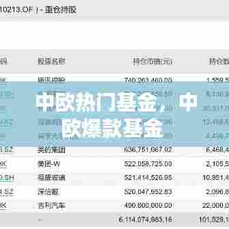 中欧热门基金,中欧爆款基金