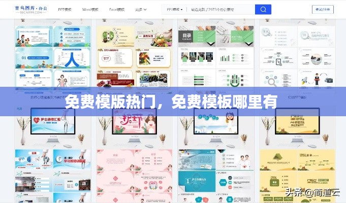 免费模版热门，免费模板哪里有 