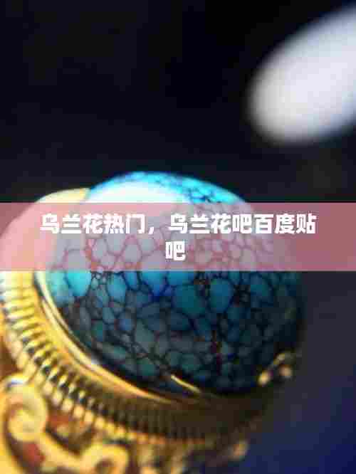 乌兰花热门，乌兰花吧百度贴吧 