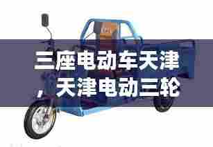 三座电动车天津,天津电动三轮车规定能上牌照