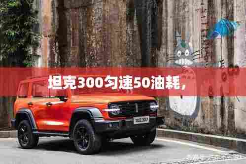 坦克300匀速50油耗,