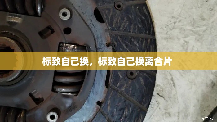 标致自己换，标致自己换离合片 