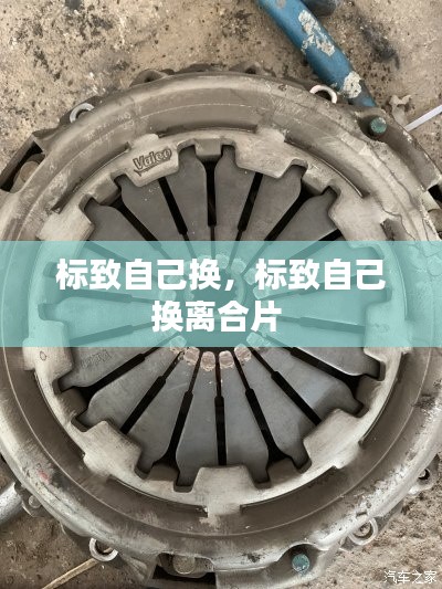 标致自己换,标致自己换离合片