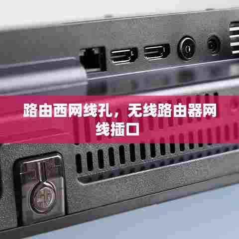 路由西网线孔,无线路由器网线插口