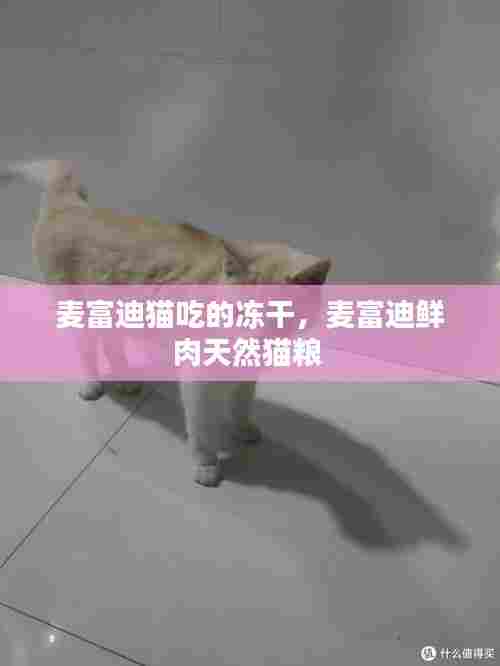 麦富迪猫吃的冻干,麦富迪鲜肉天然猫粮