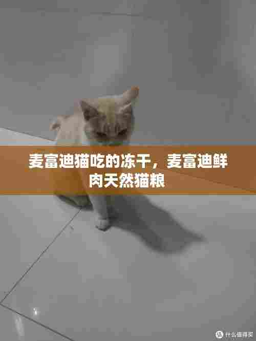 麦富迪猫吃的冻干,麦富迪鲜肉天然猫粮