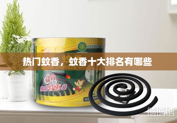 热门蚊香,蚊香十大排名有哪些