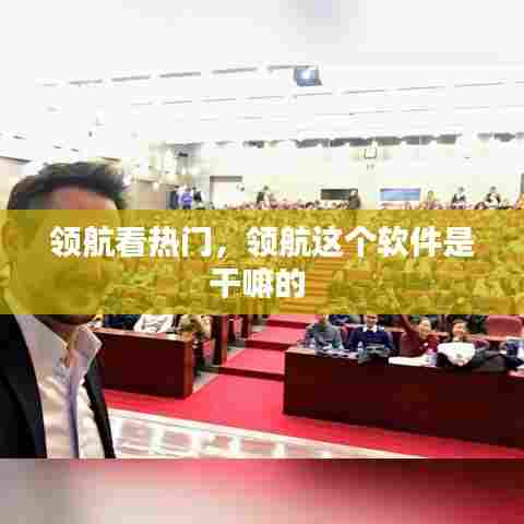 领航看热门,领航这个软件是干嘛的