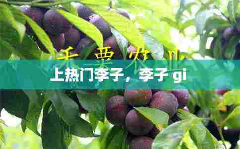 上热门李子，李子 gi 