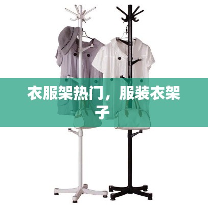 衣服架热门,服装衣架子