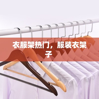 衣服架热门,服装衣架子