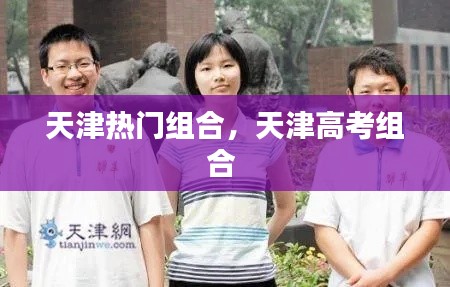 天津热门组合,天津高考组合
