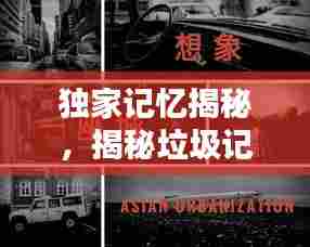 独家记忆揭秘,揭秘垃圾记忆背后的真相