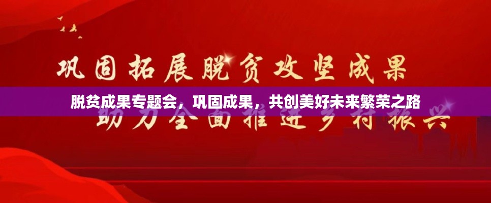 脱贫成果专题会,巩固成果,共创美好未来繁荣之路