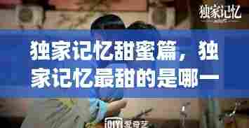 独家记忆甜蜜篇,独家记忆最甜的是哪一集