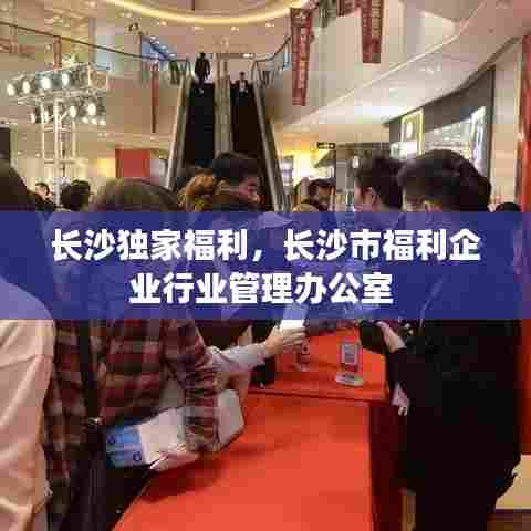 长沙独家福利，长沙市福利企业行业管理办公室 