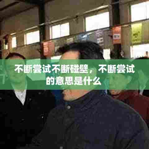 发硎新试 第7页