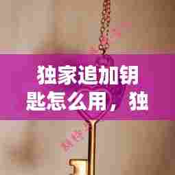 独家追加钥匙怎么用,独家追加钥匙怎么用啊