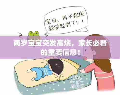 两岁宝宝突发高烧,家长必看的重要信息!