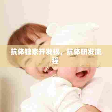 抗体独家开发权,抗体研发流程