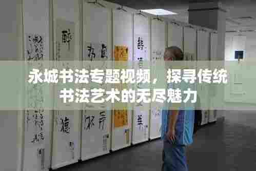 永城书法专题视频,探寻传统书法艺术的无尽魅力