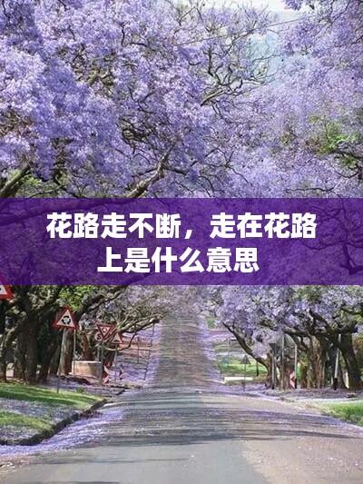 花路走不断,走在花路上是什么意思
