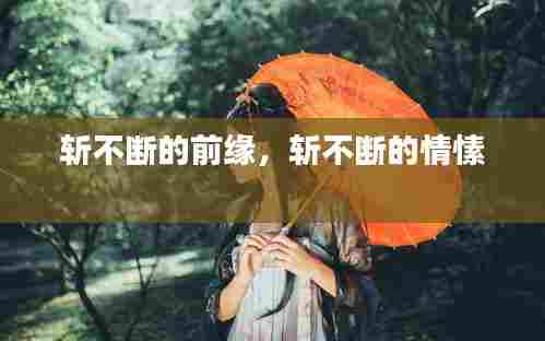 斩不断的前缘,斩不断的情愫