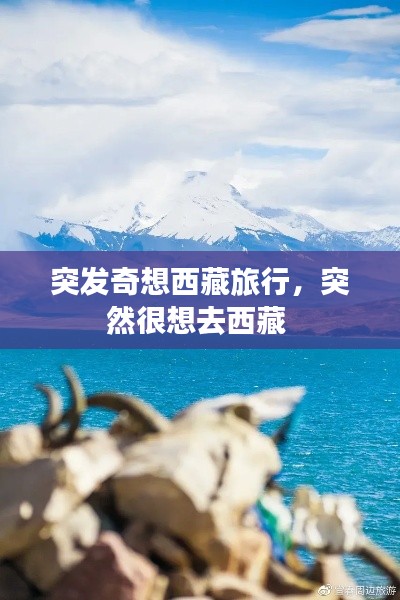 突发奇想西藏旅行，突然很想去西藏 