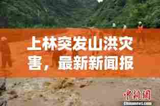 上林突发山洪灾害，最新新闻报道！