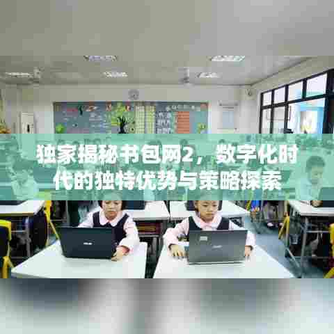 独家揭秘书包网2，数字化时代的独特优势与策略探索