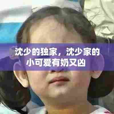 沈少的独家,沈少家的小可爱有奶又凶