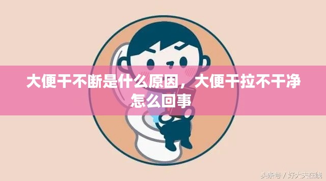 大便干不断是什么原因,大便干拉不干净怎么回事
