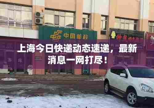 上海今日快递动态速递,最新消息一网打尽!