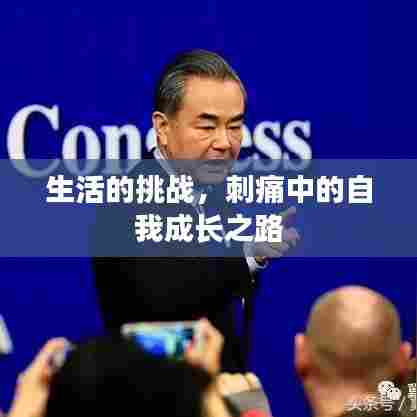 生活的挑战,刺痛中的自我成长之路