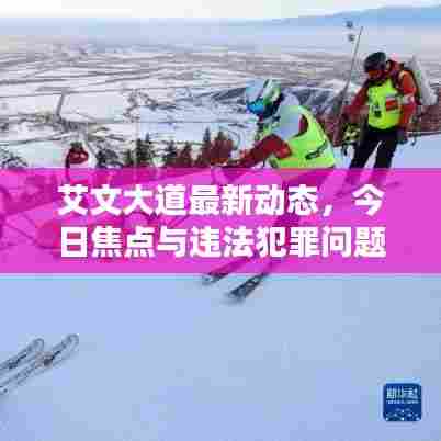 艾文大道最新动态，今日焦点与违法犯罪问题深度解析