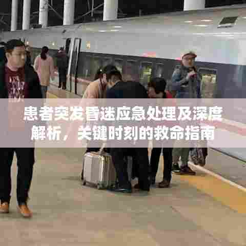 患者突发昏迷应急处理及深度解析，关键时刻的救命指南