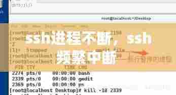 ssh进程不断,ssh频繁中断