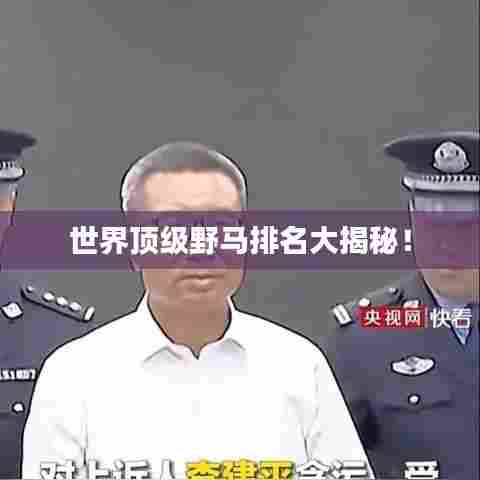 世界顶级野马排名大揭秘!