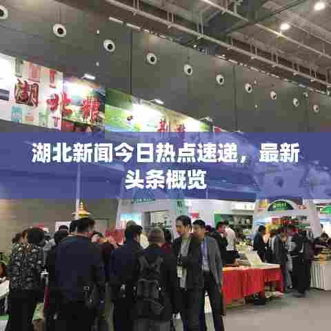 湖北新闻今日热点速递,最新头条概览