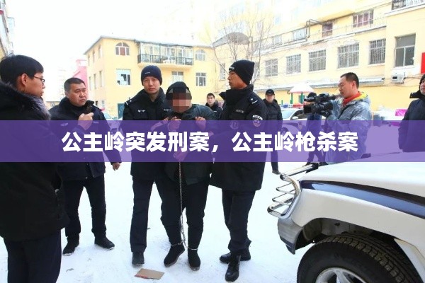 公主岭突发刑案,公主岭枪杀案