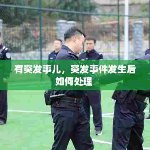 有突发事儿，突发事件发生后如何处理 