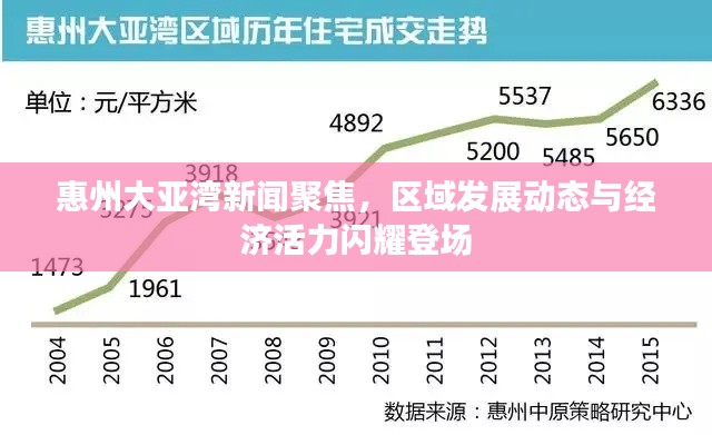 惠州大亚湾新闻聚焦,区域发展动态与经济活力闪耀登场